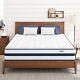 12 Inch Queen Size Mattress Hybrid Bed In A Box Pressure Relief Made In Usa