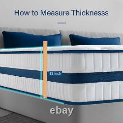 Maxzzz 12 Inch Hybrid Queen Mattress Bed in A Box Pressure Relief Made in USA